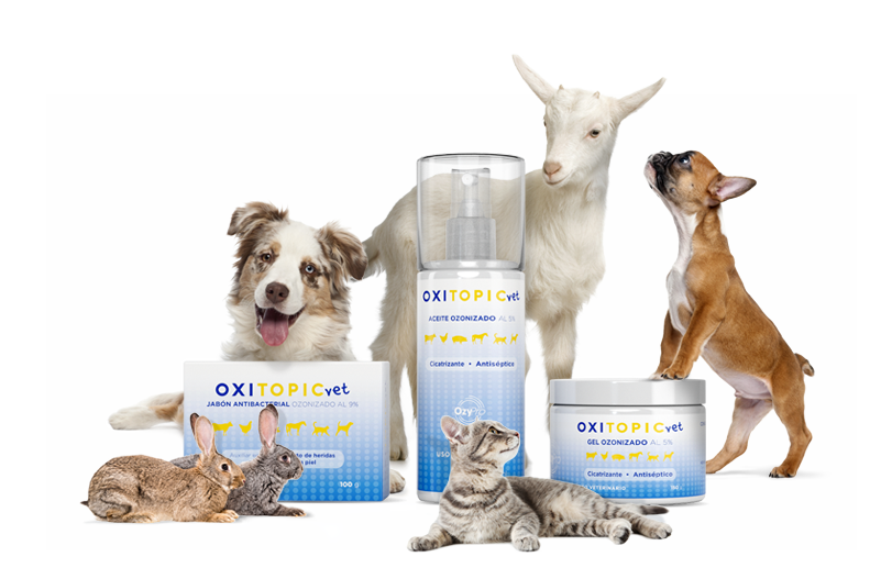 Animales Oxitopicvet